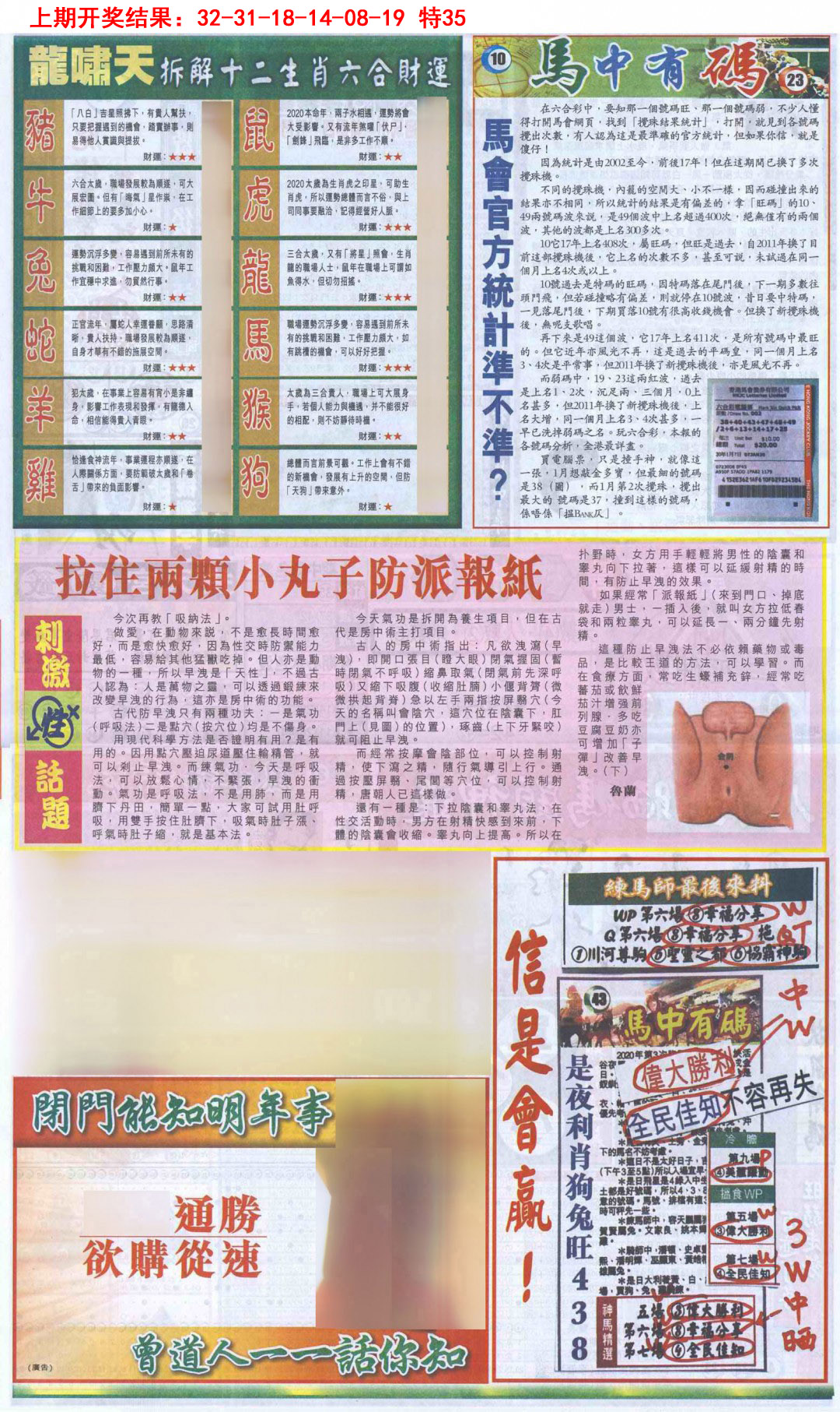 2025086期新报跑狗B