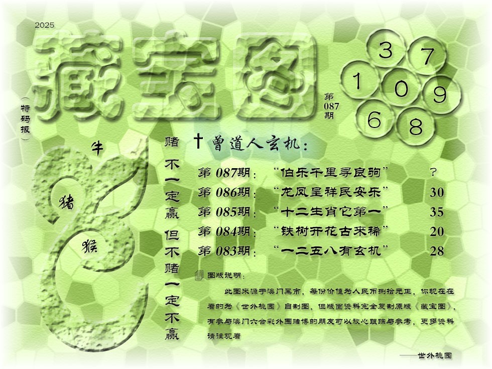 2025087期《藏宝图》
