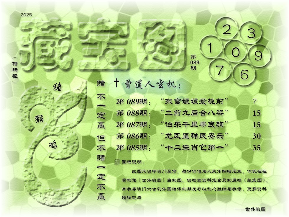 2025089期《藏宝图》