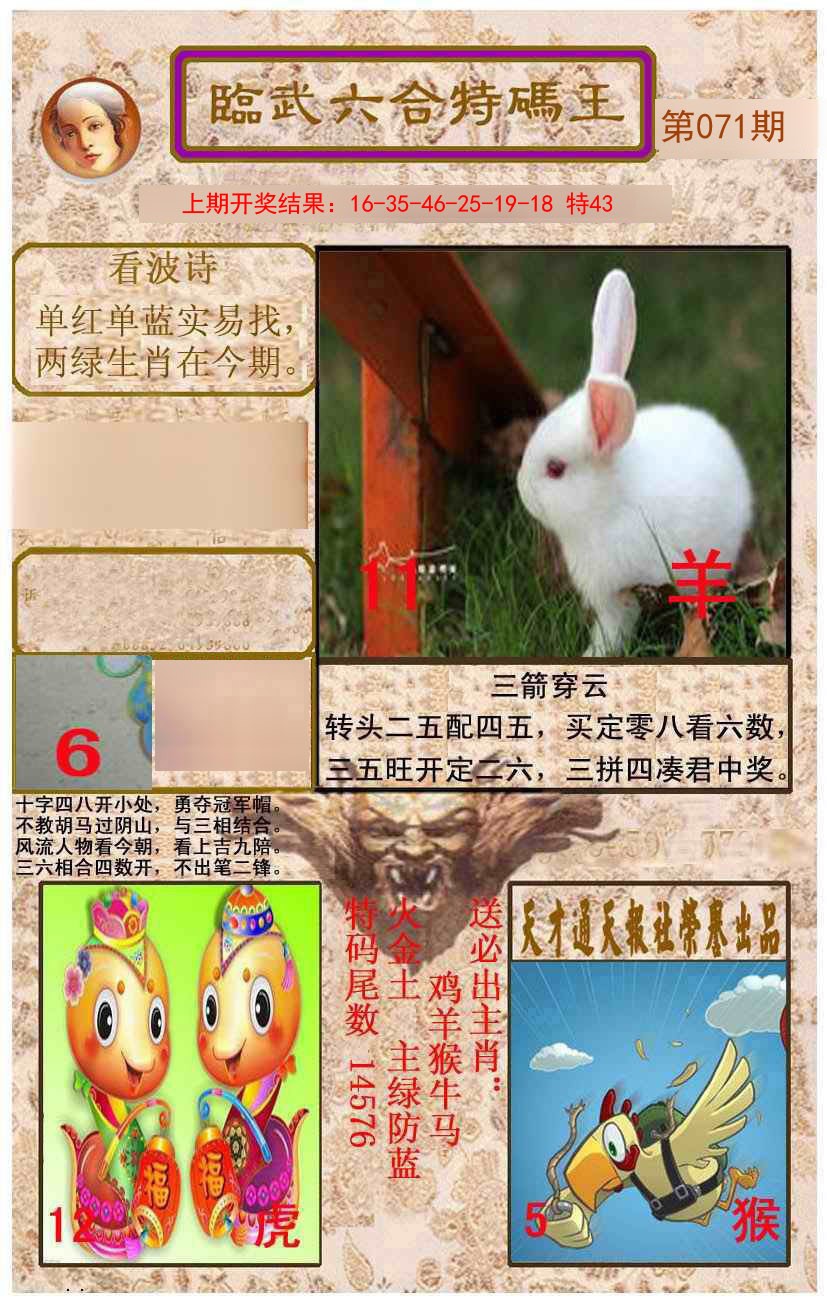 2025071期临武六合特码王