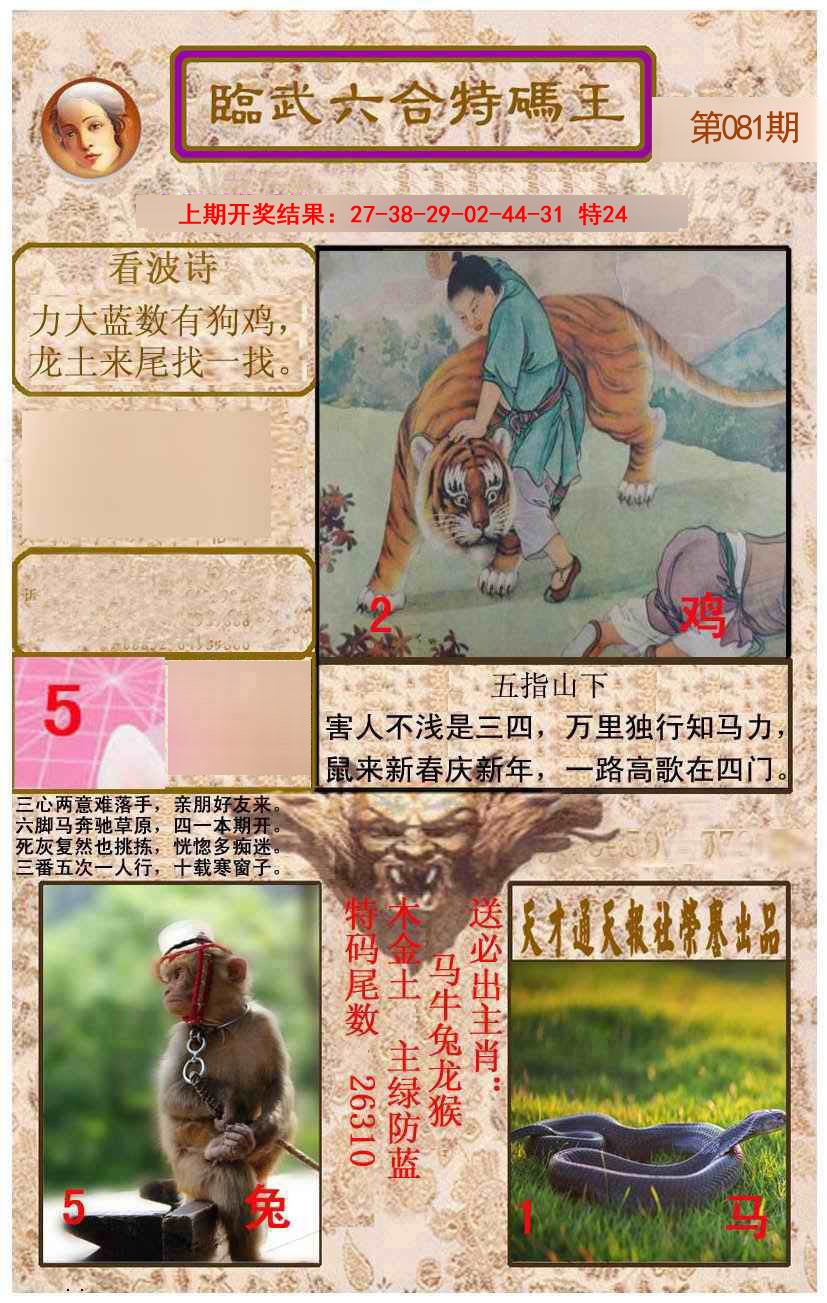 2025081期临武六合特码王