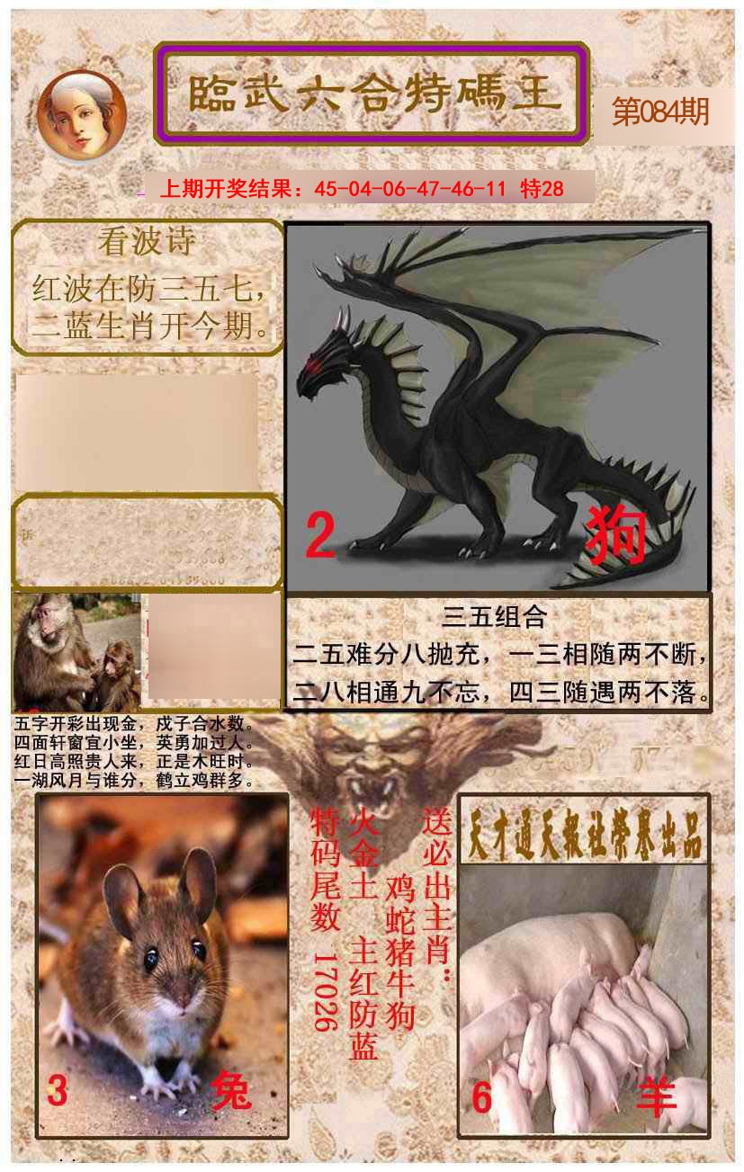 2025084期临武六合特码王