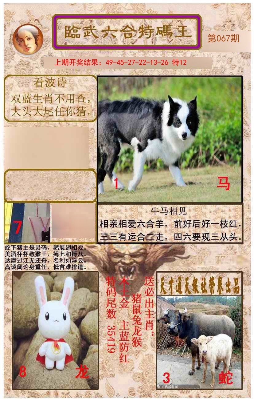 2025067期临武六合特码王