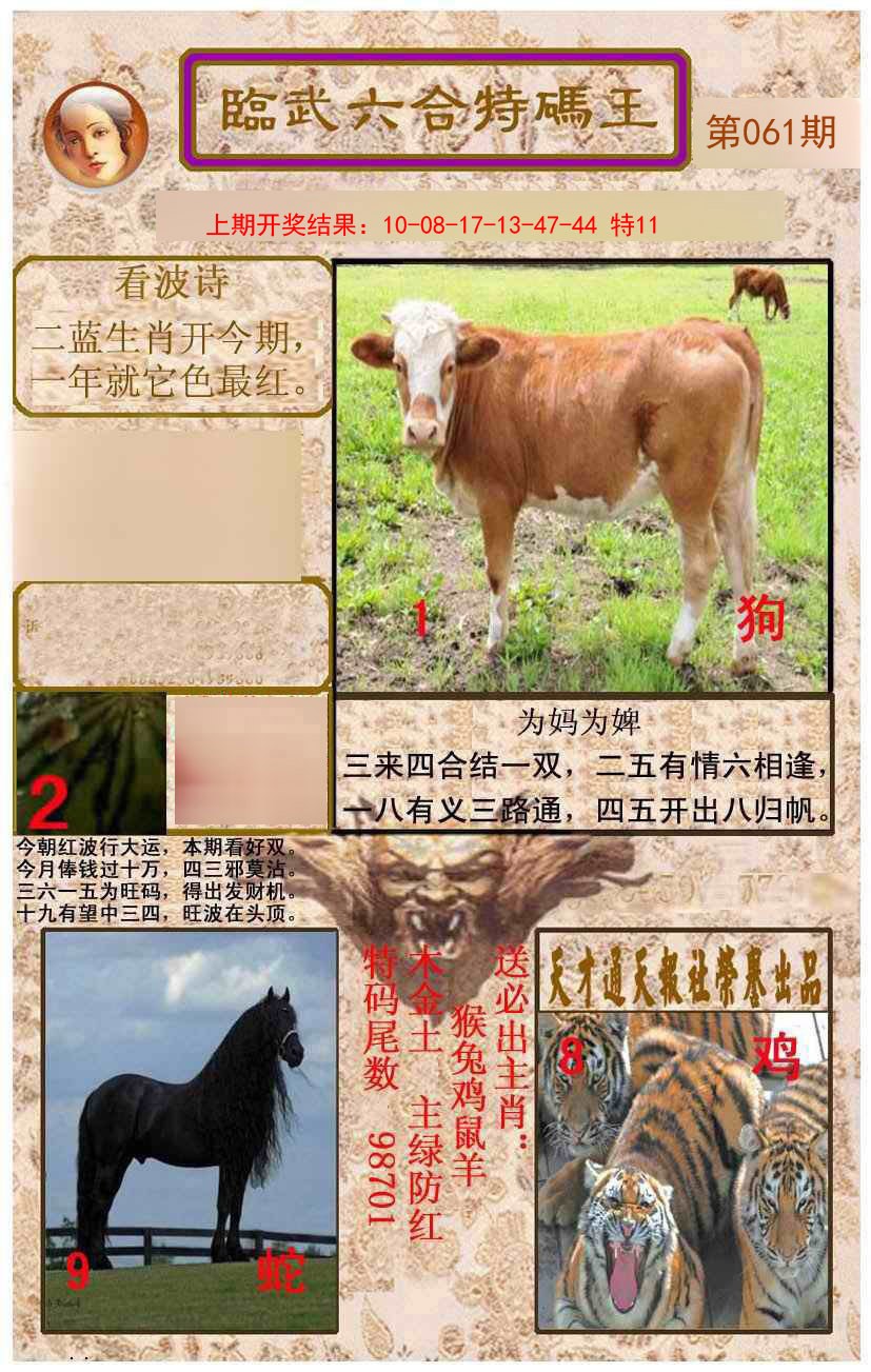 2025061期临武六合特码王