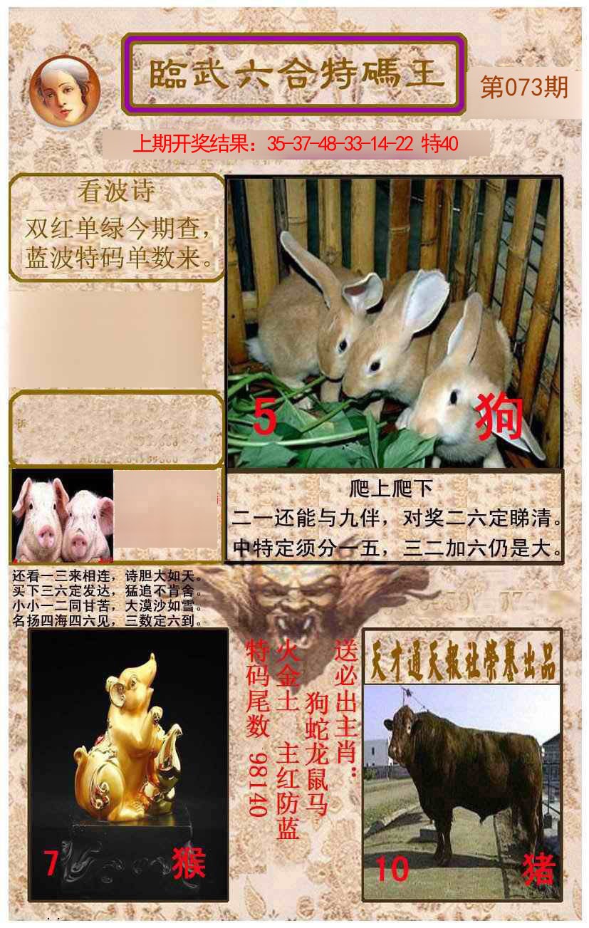 2025073期临武六合特码王