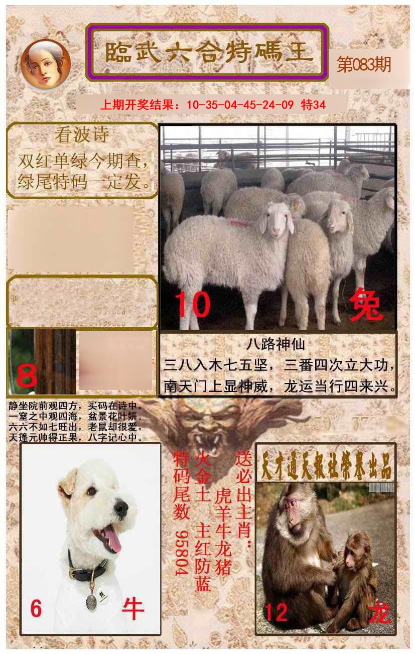 2025083期临武六合特码王