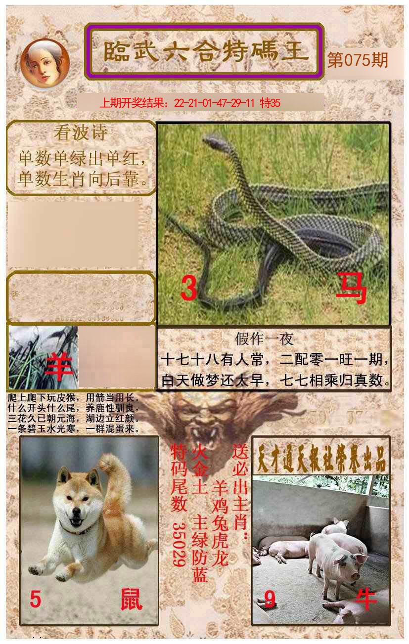 2025075期临武六合特码王