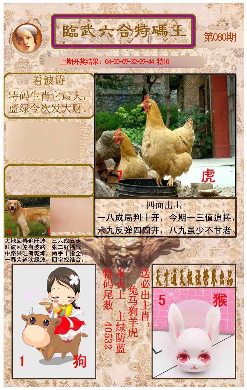 2025080期临武六合特码王