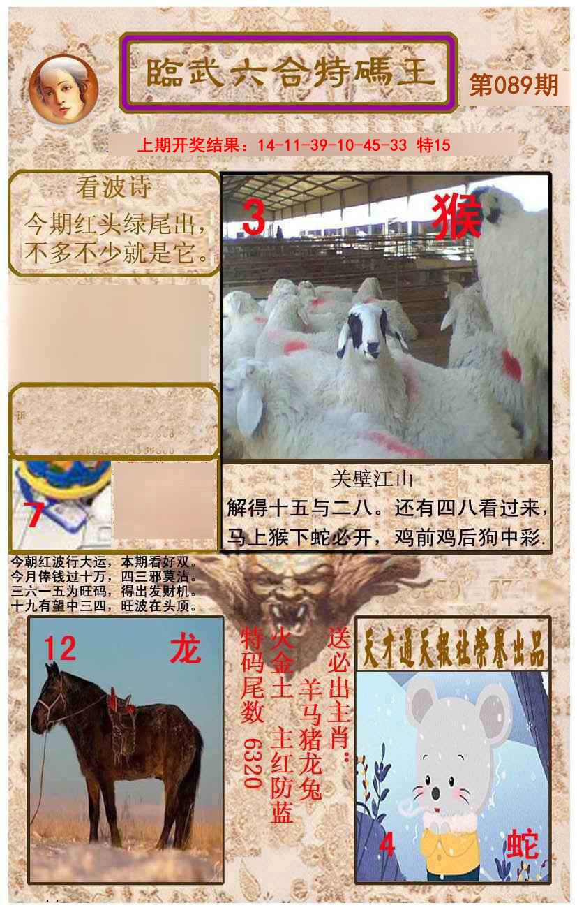 2025089期临武六合特码王
