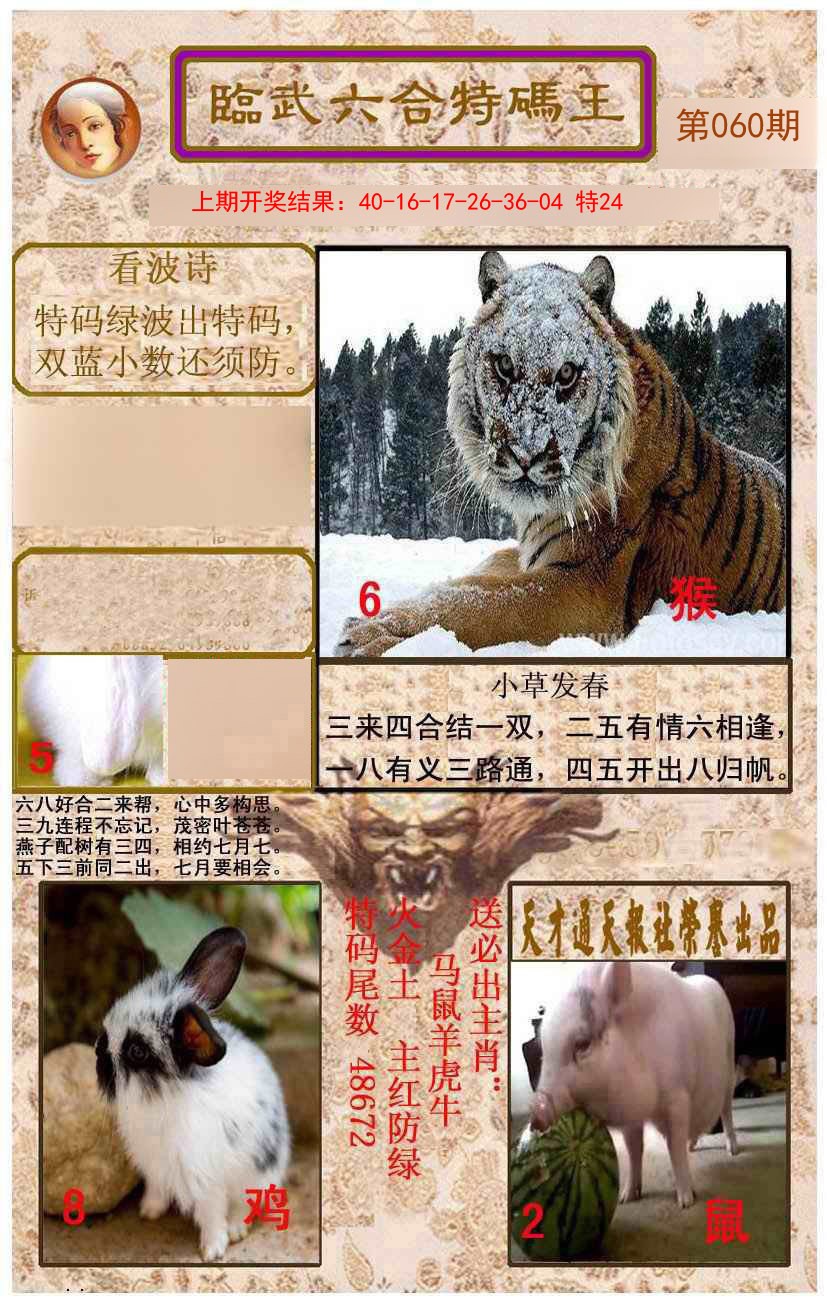 2025060期临武六合特码王