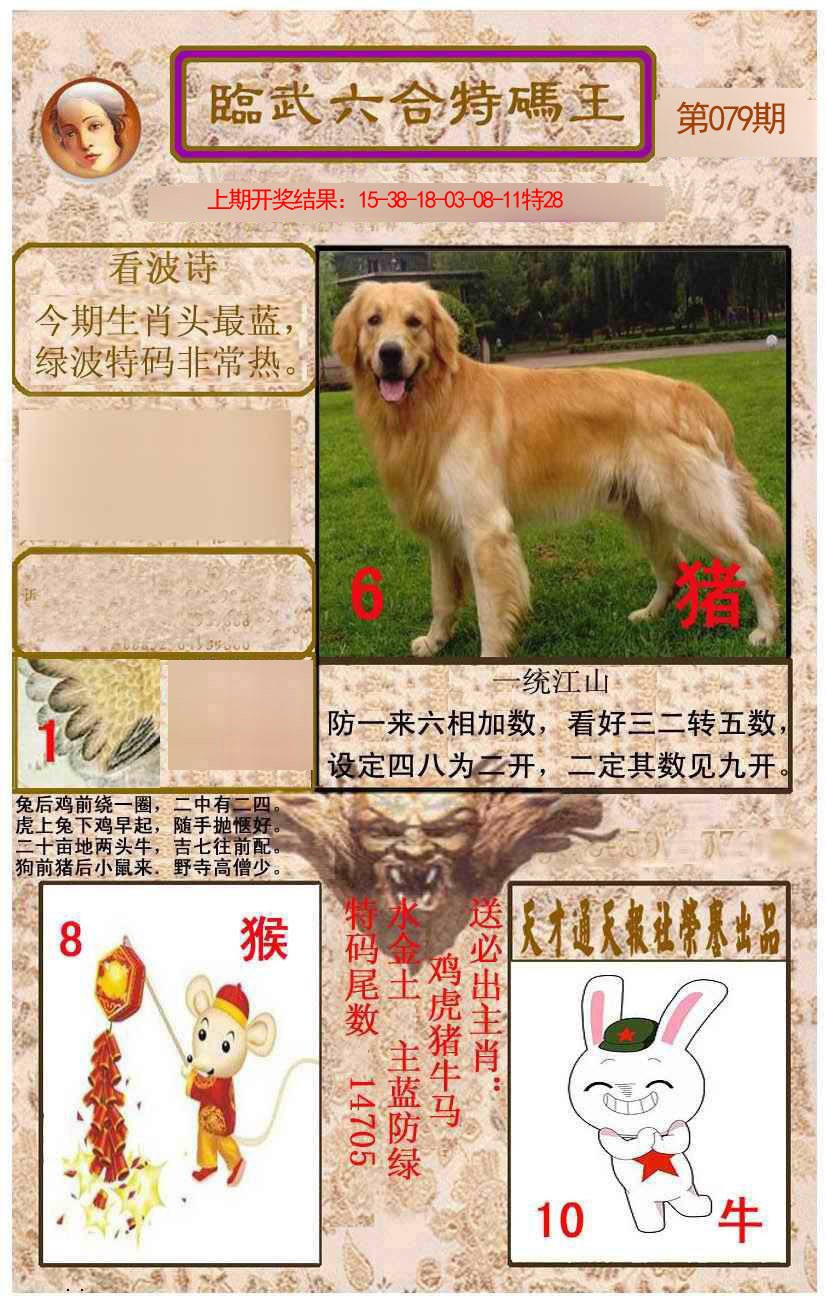 2025079期临武六合特码王