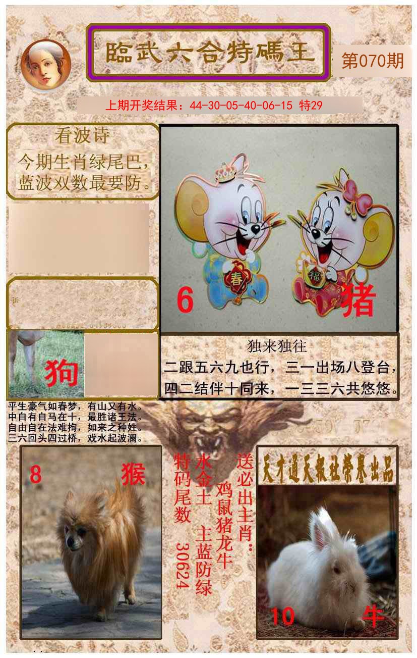 2025070期临武六合特码王