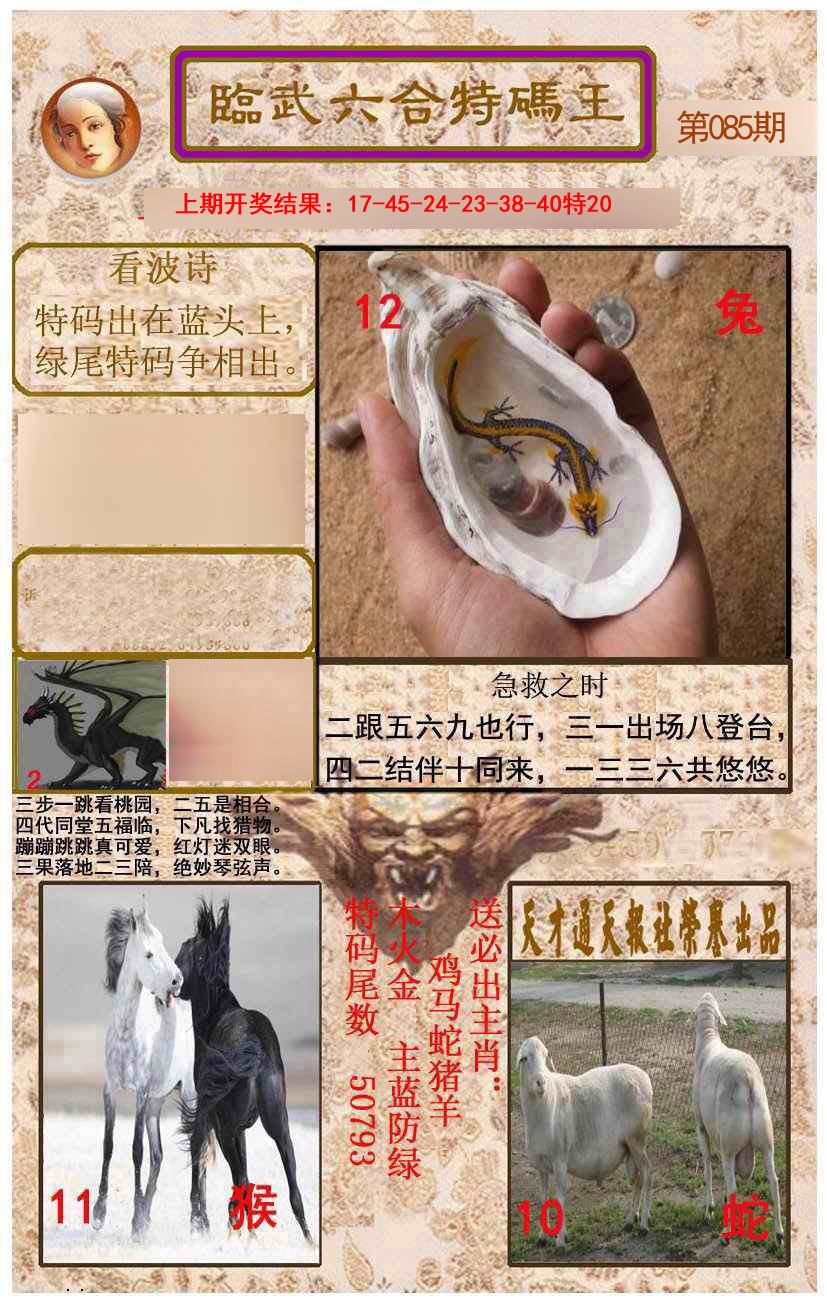 2025085期临武六合特码王