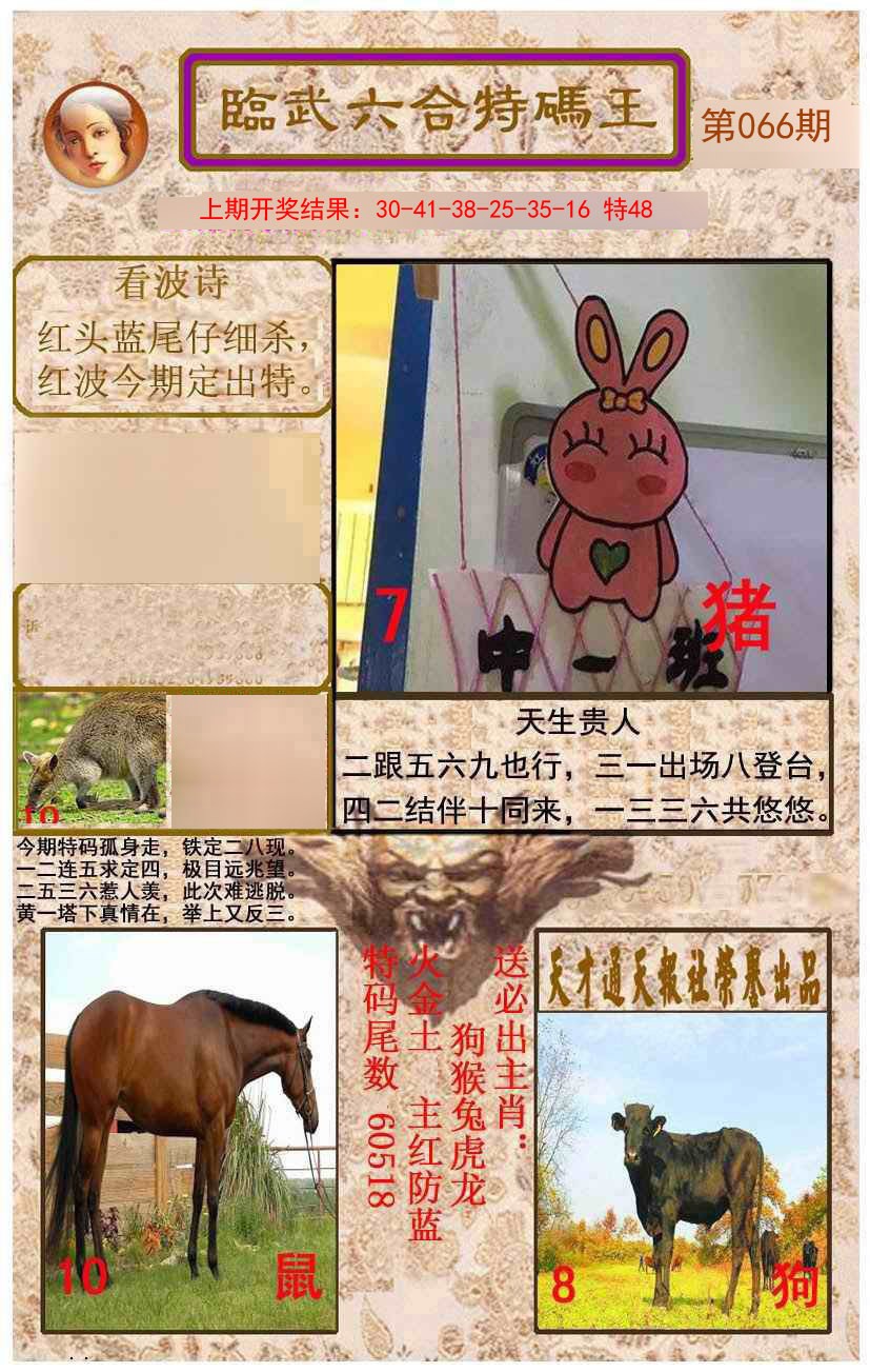 2025066期临武六合特码王