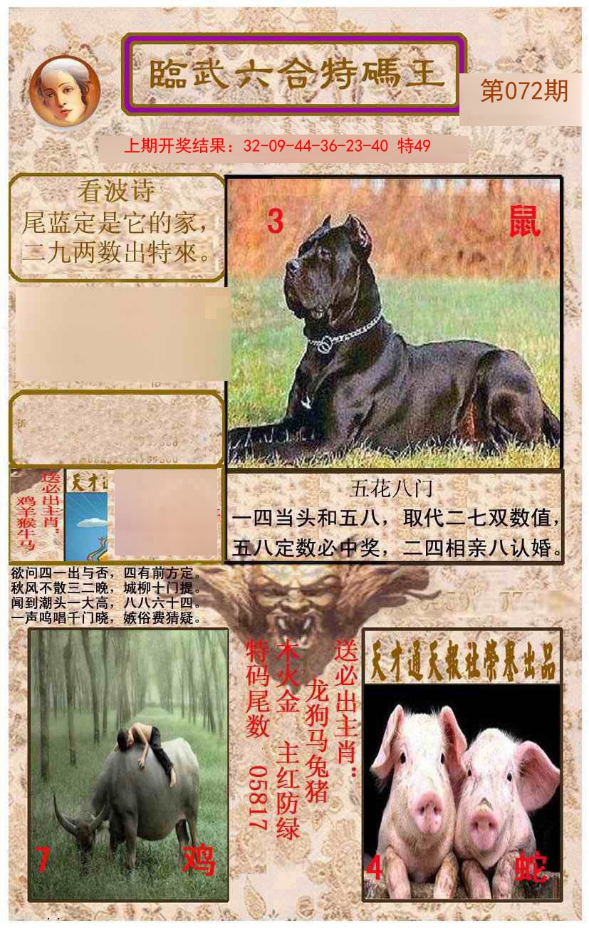 2025072期临武六合特码王