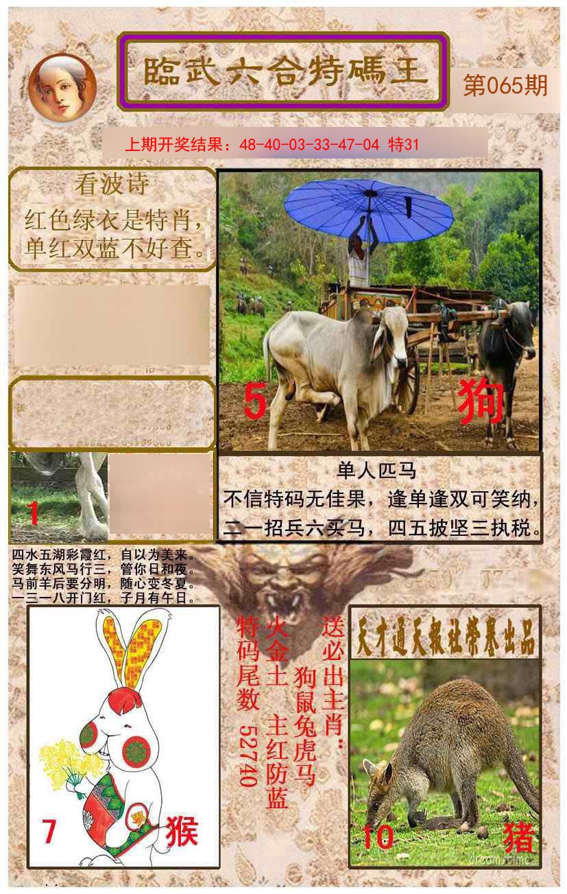 2025065期临武六合特码王