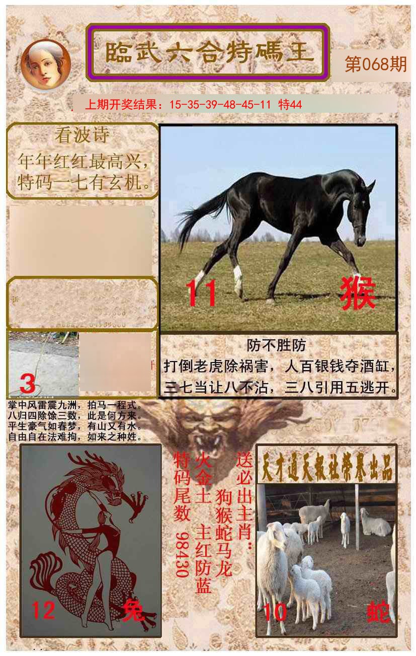 2025068期临武六合特码王