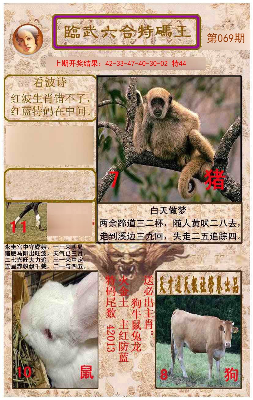 2025069期临武六合特码王