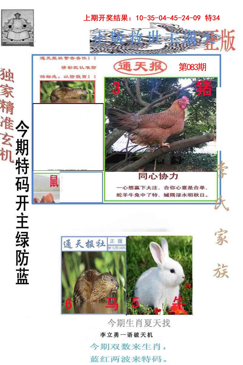 2025083期李力勇通天报