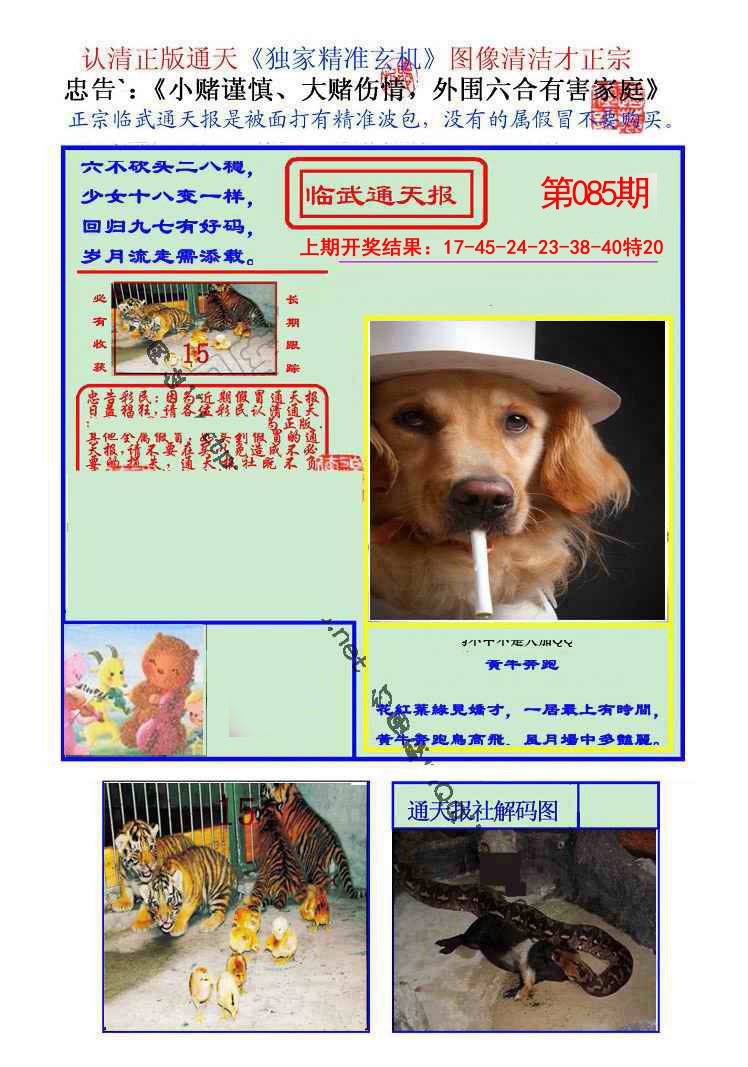 2025085期临武通天报