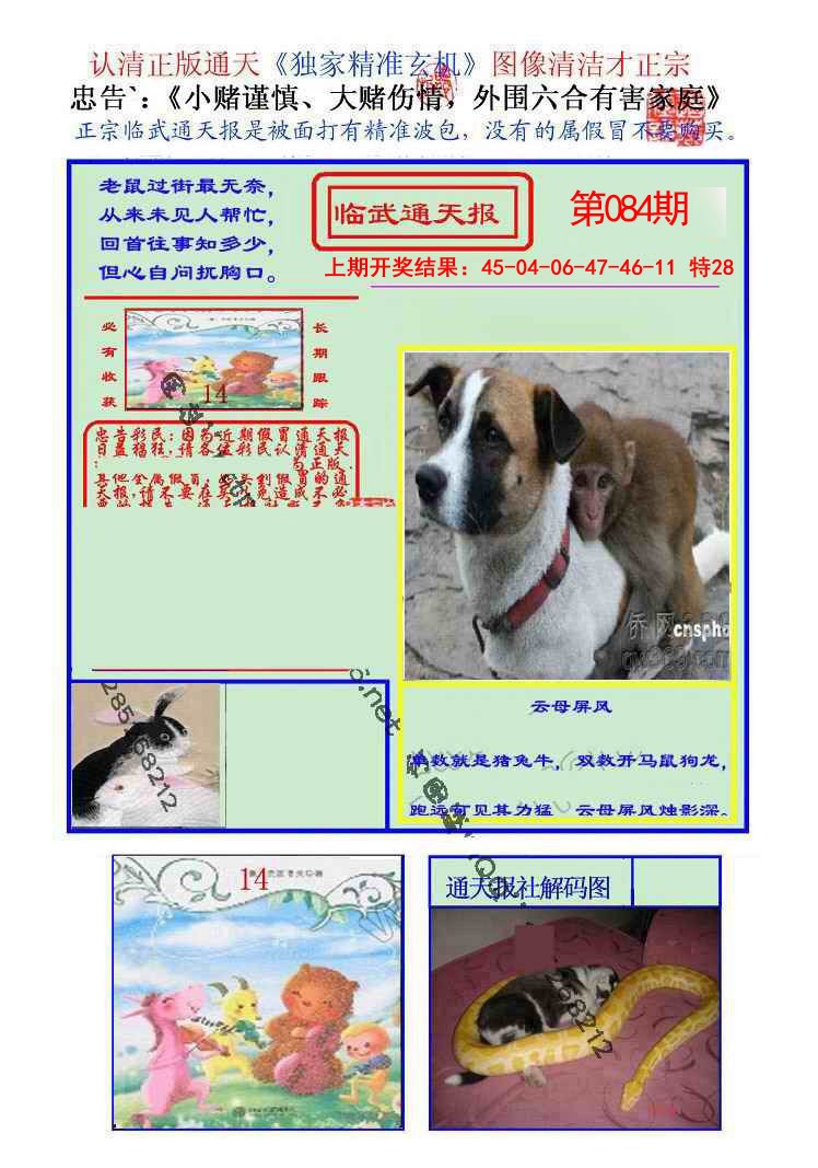 2025084期临武通天报