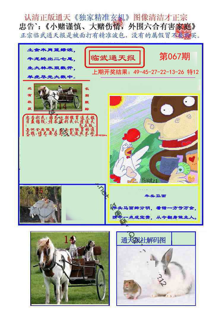 2025067期临武通天报