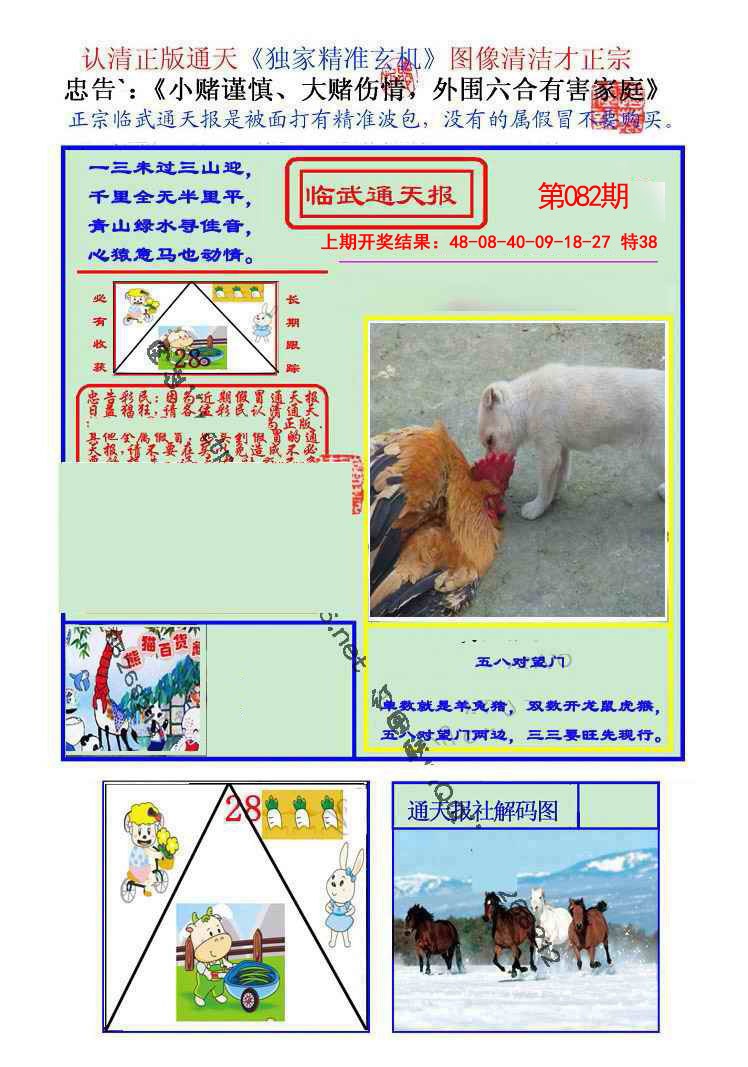 2025082期临武通天报