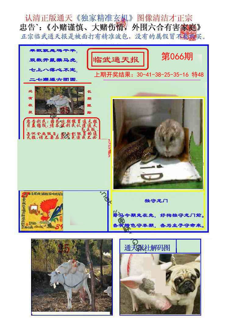 2025066期临武通天报