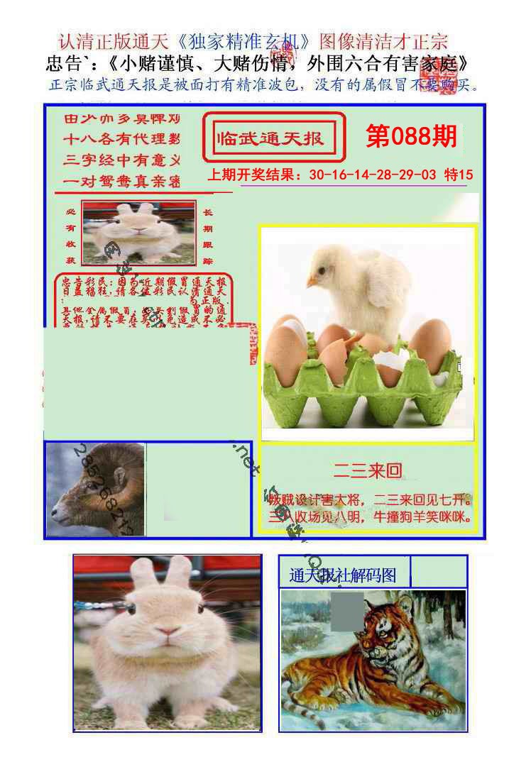 2025088期临武通天报