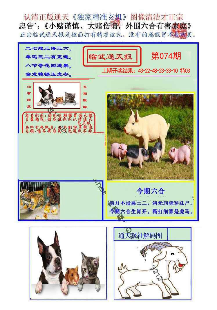 2025074期临武通天报