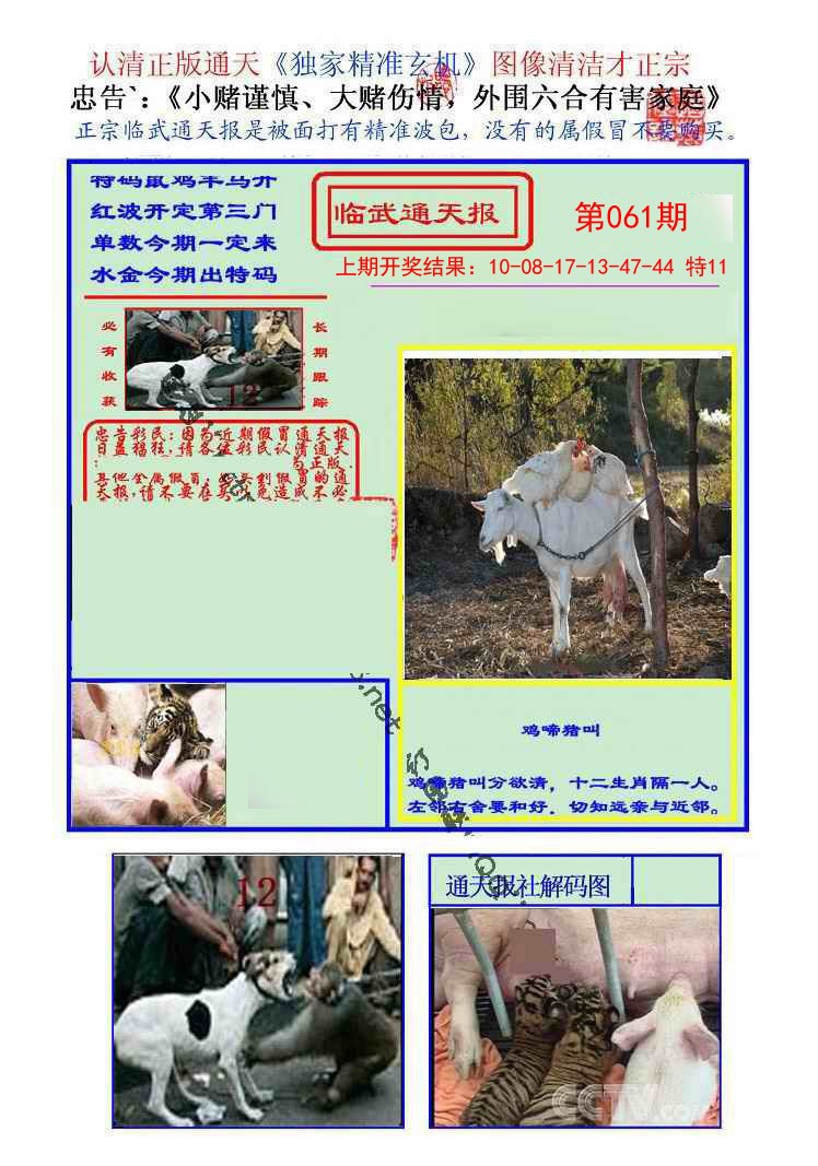 2025061期临武通天报