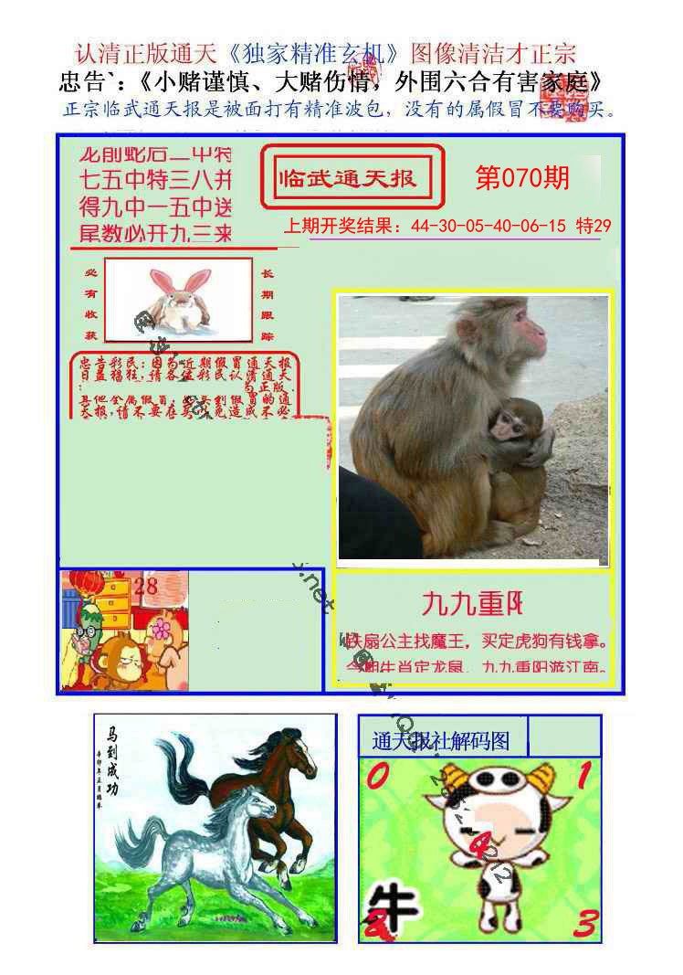 2025070期临武通天报