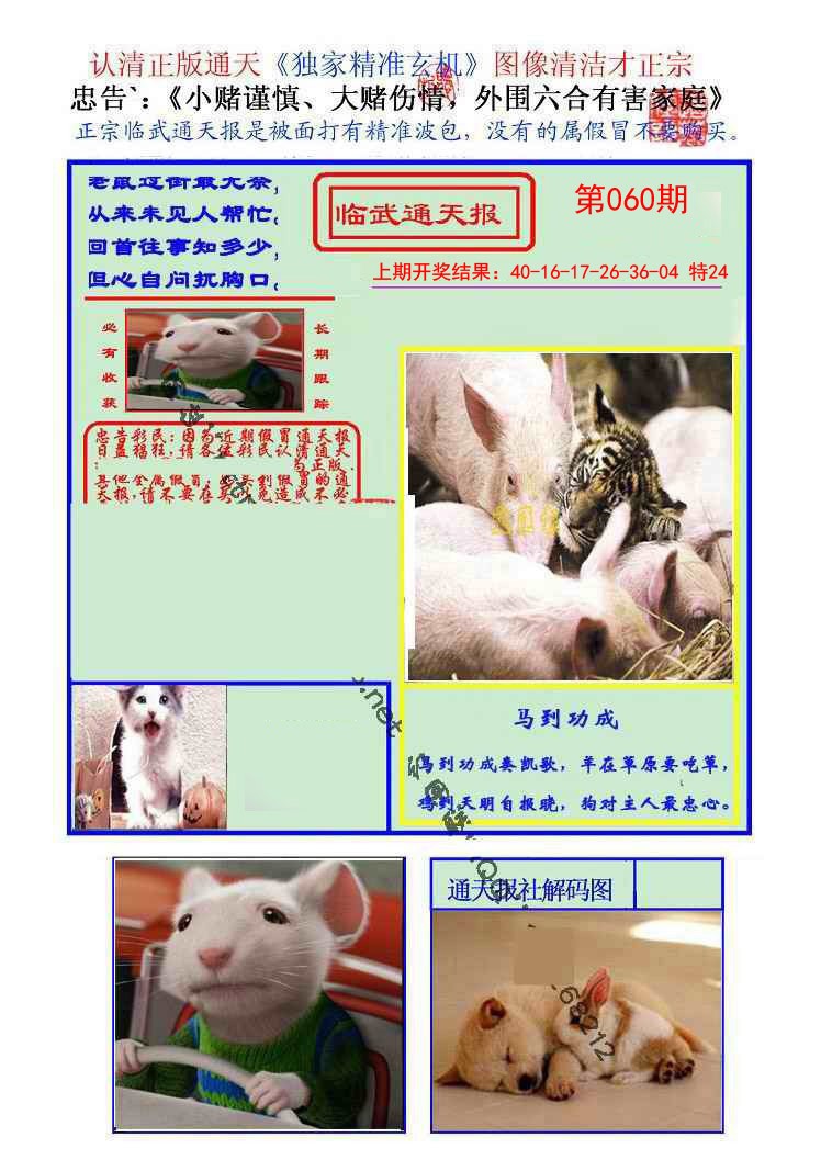2025060期临武通天报
