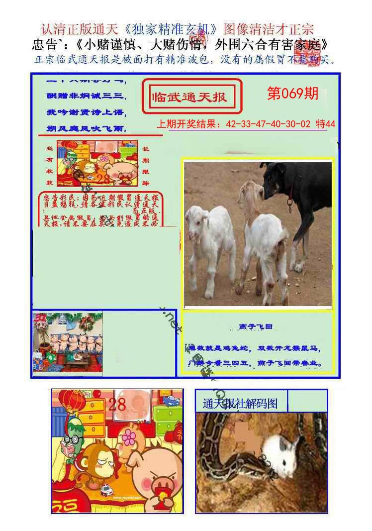 2025069期临武通天报