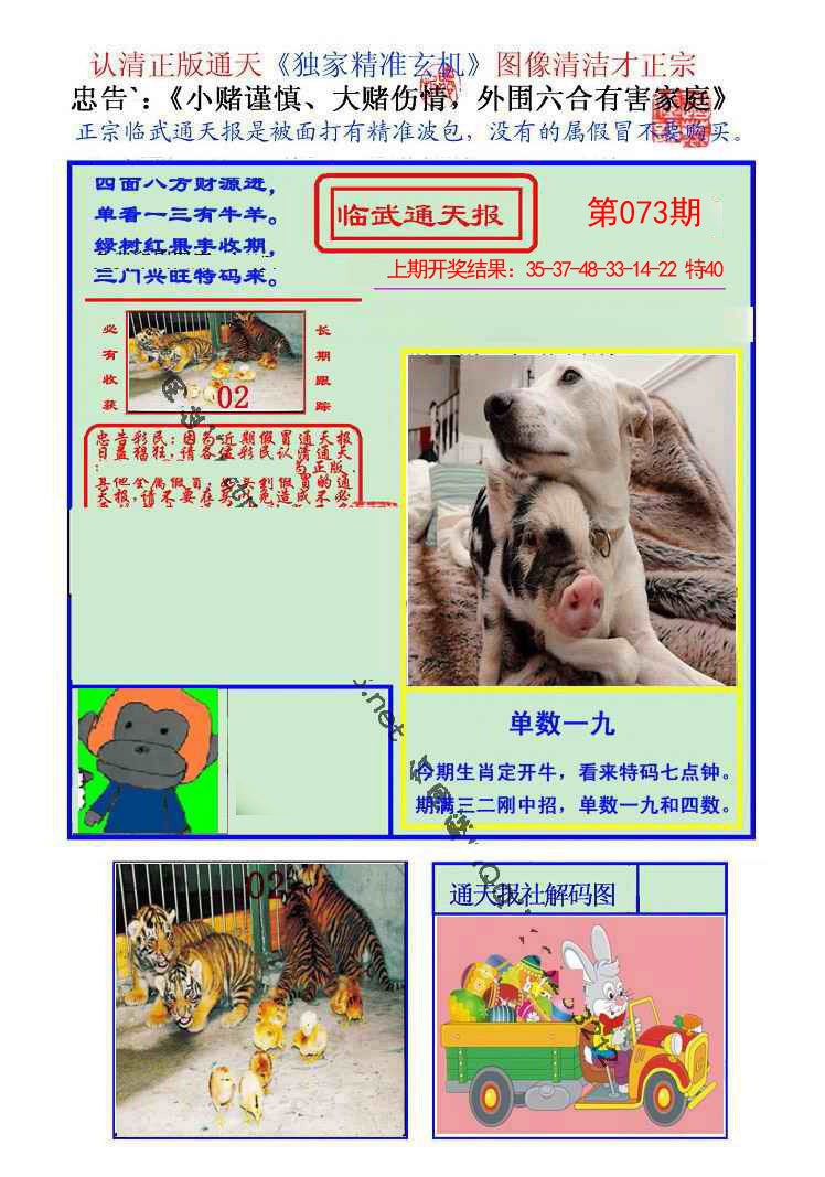 2025073期临武通天报