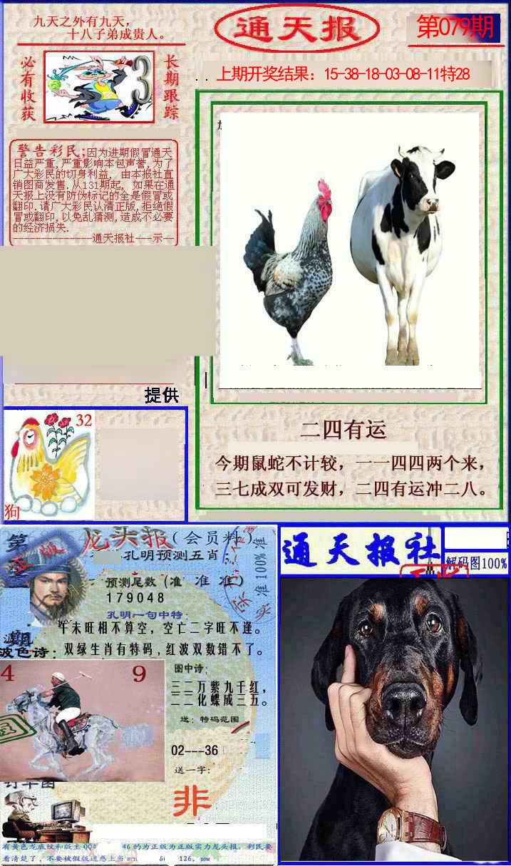 2025079期实力通天报