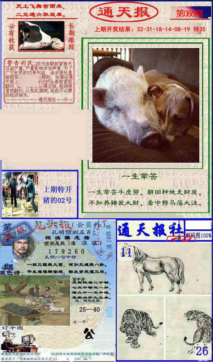2025086期实力通天报