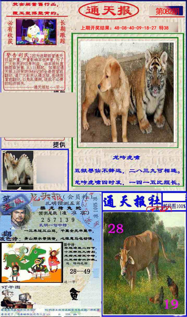 2025082期实力通天报