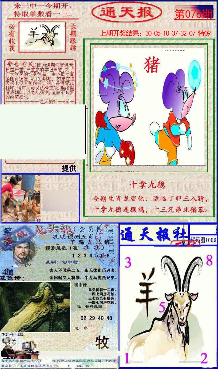 2025076期实力通天报