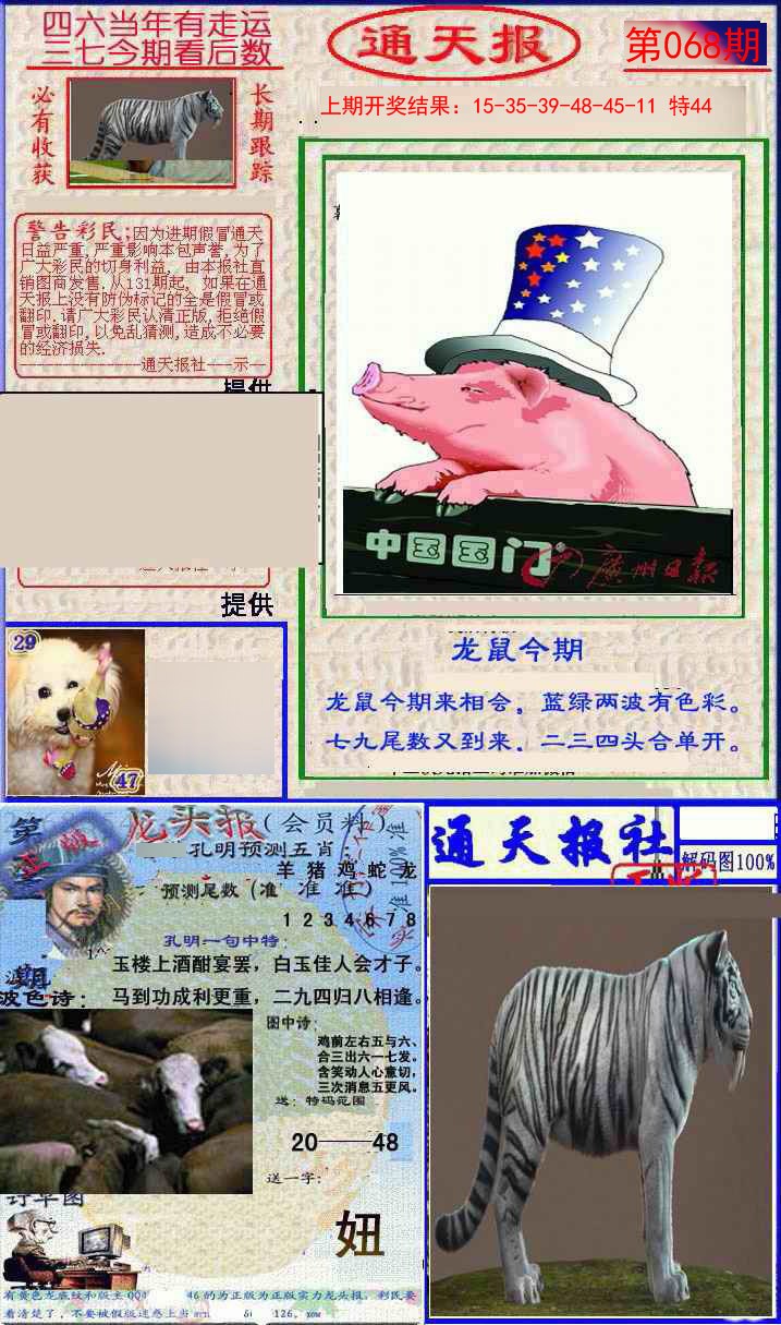 2025068期实力通天报
