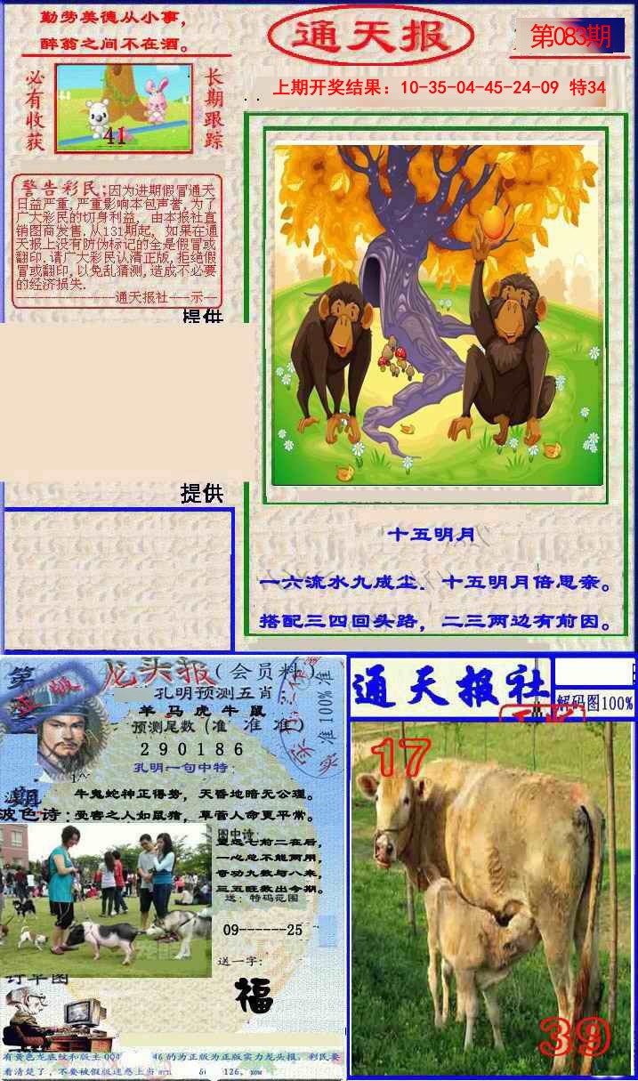 2025083期实力通天报