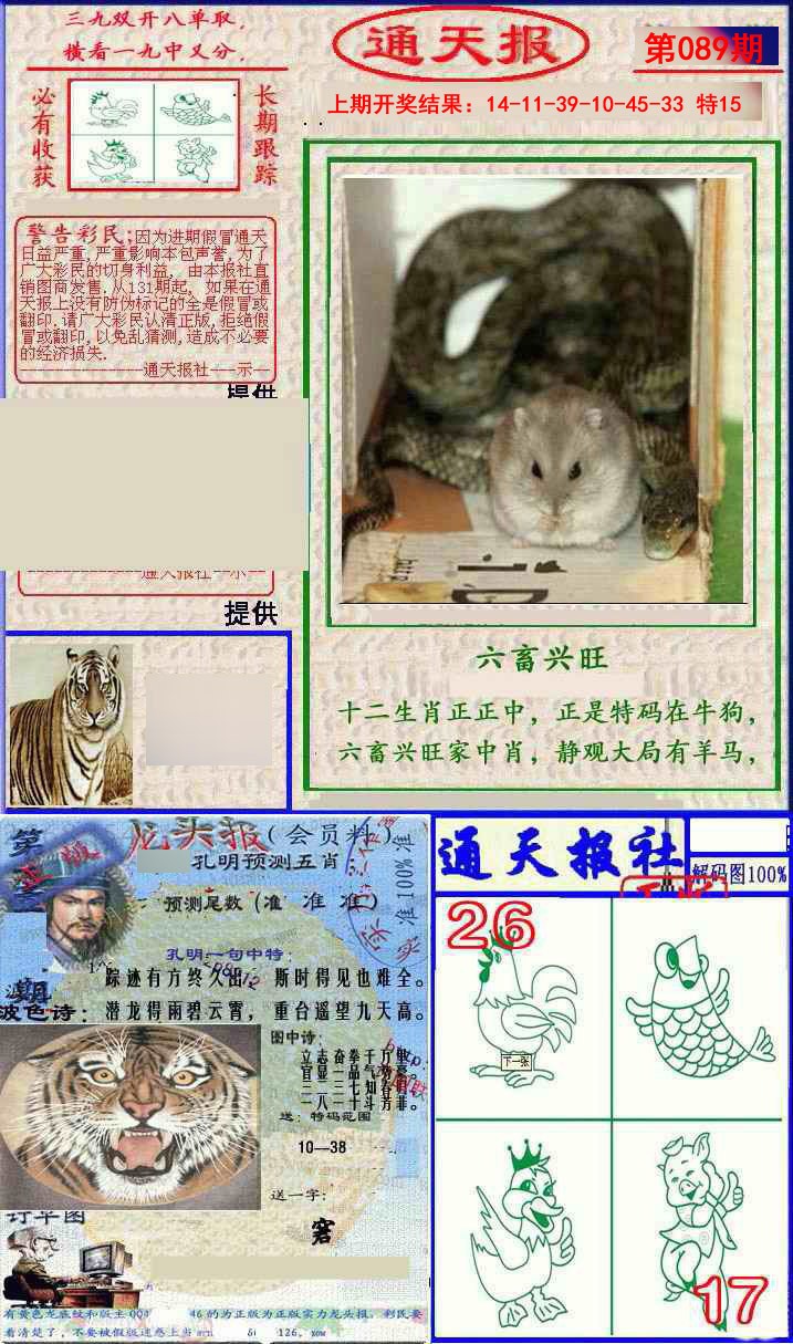 2025089期实力通天报