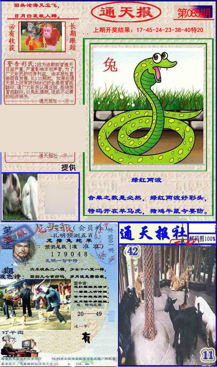 2025085期实力通天报