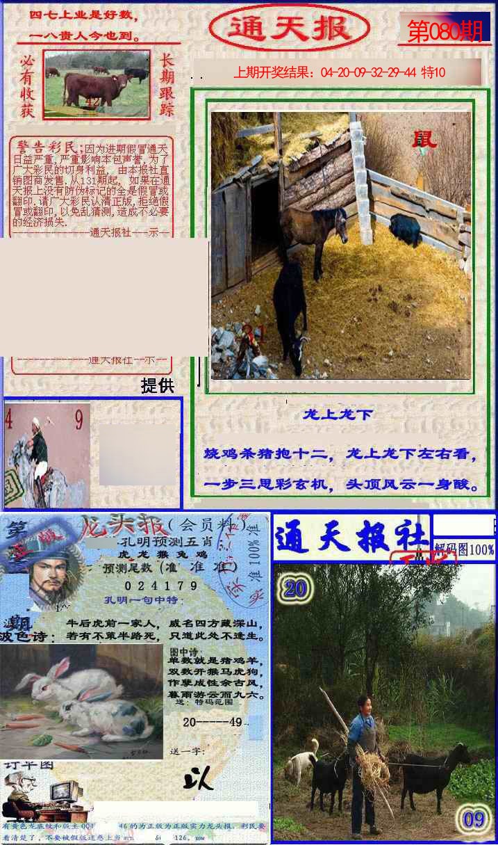 2025080期实力通天报