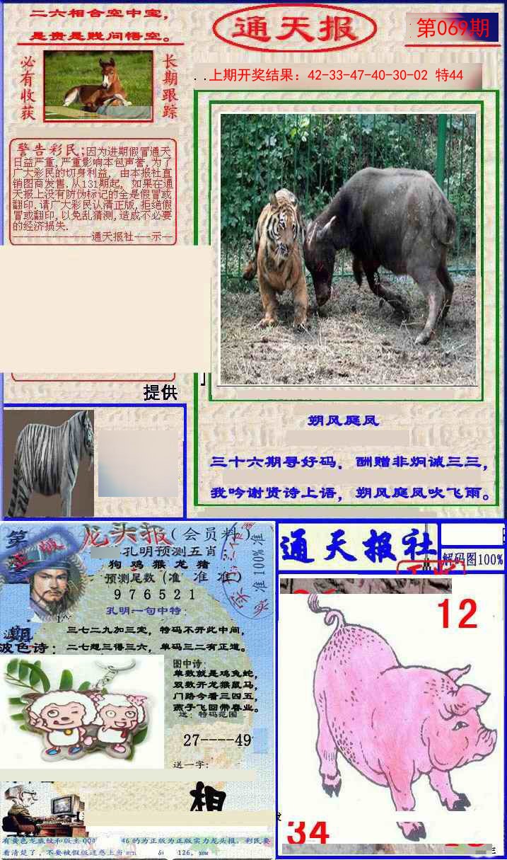 2025069期实力通天报