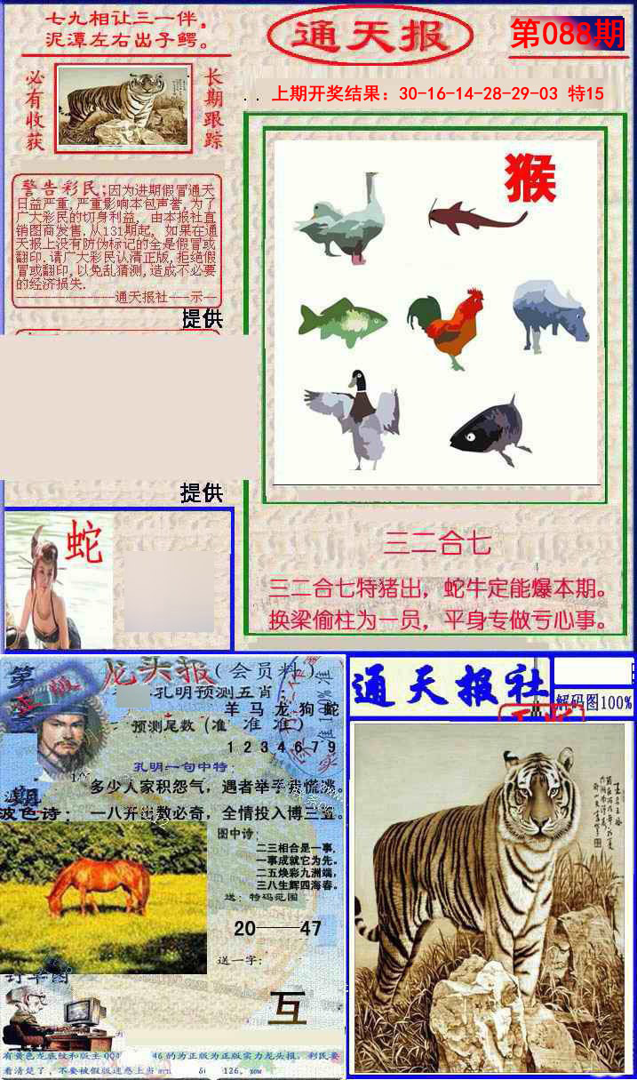 2025088期实力通天报