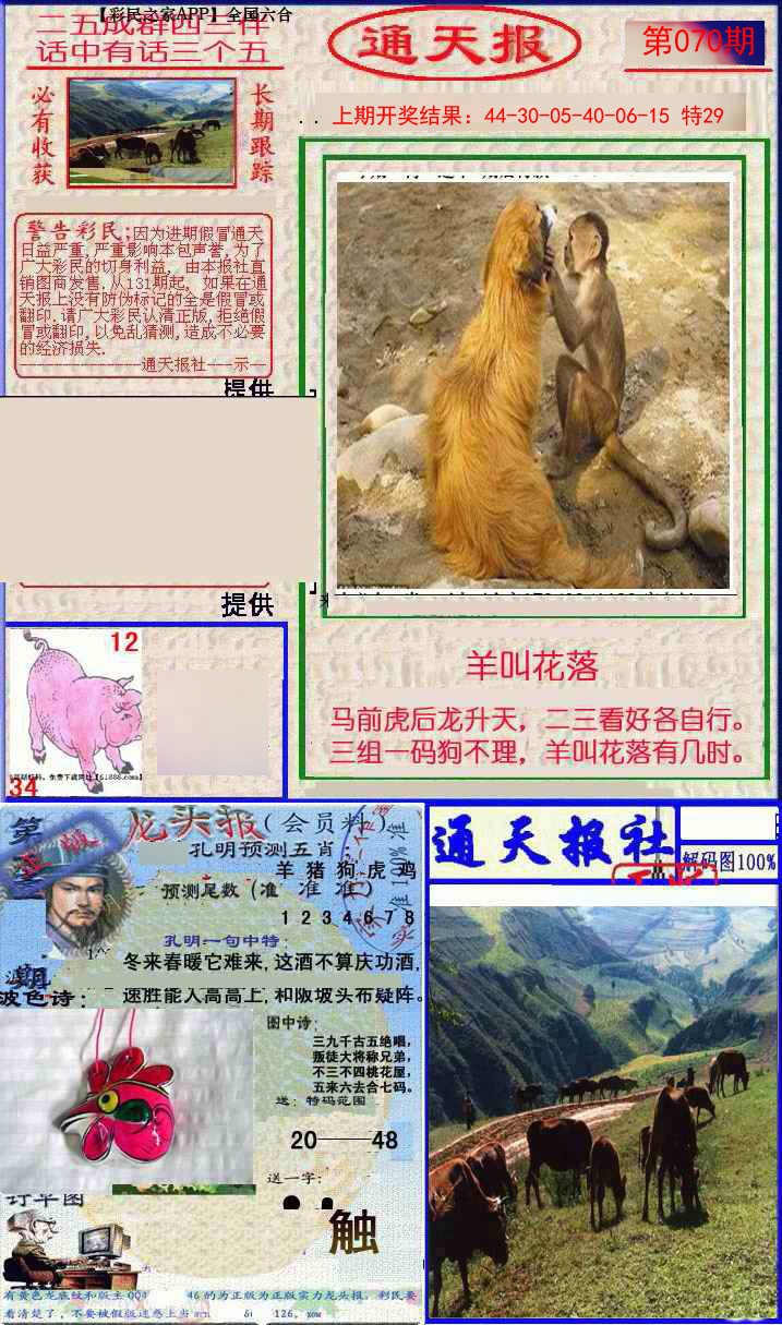 2025070期实力通天报
