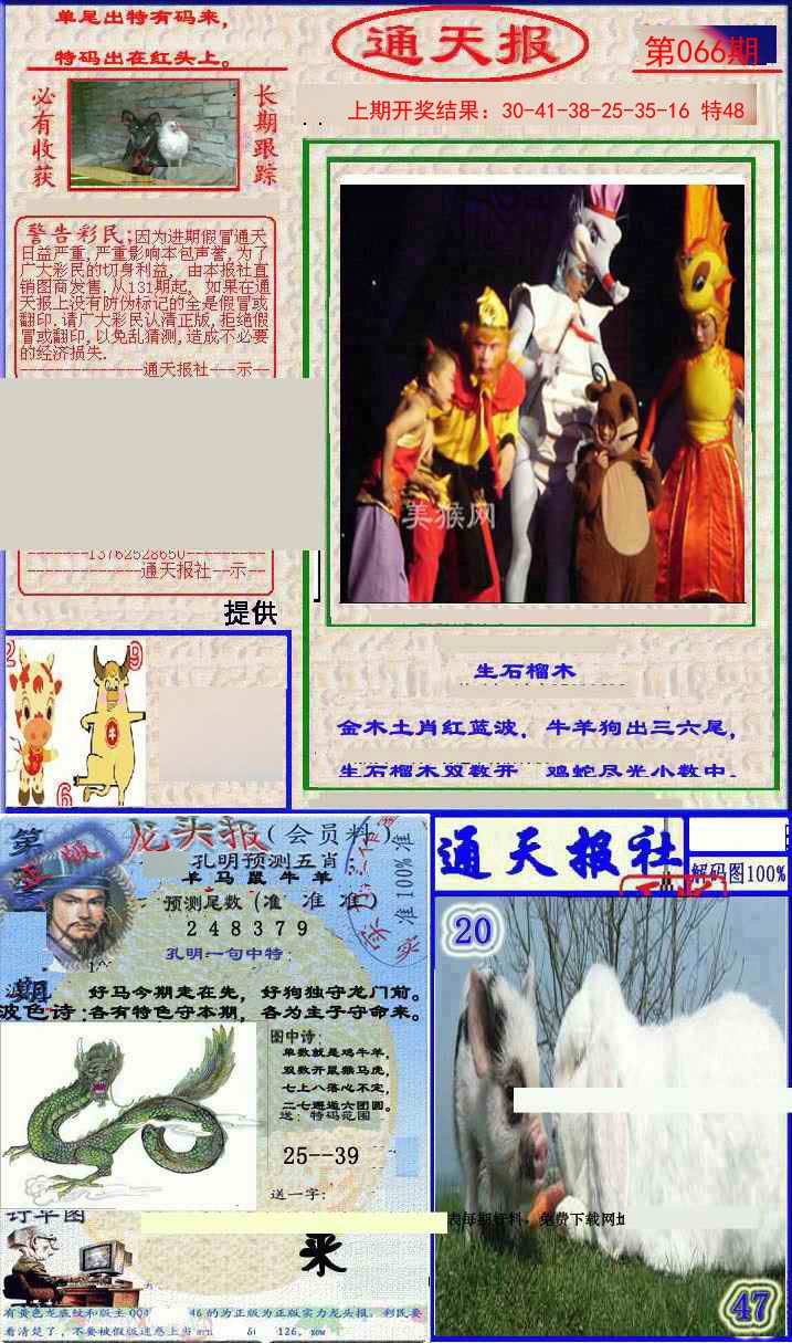 2025066期实力通天报