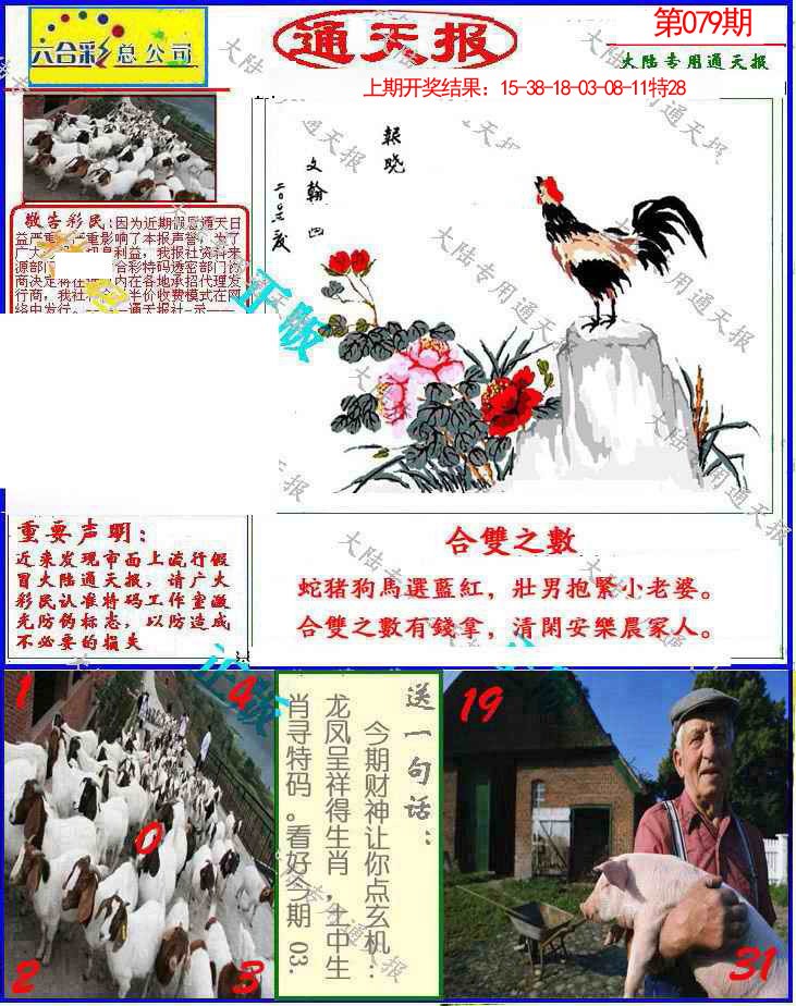 2025079期大陆通天报