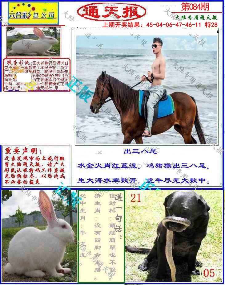 2025084期大陆通天报